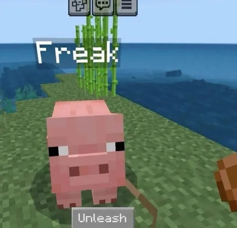 Freak Unleashed Pig