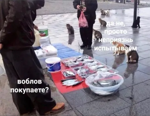 Просто испытываем неприязнь