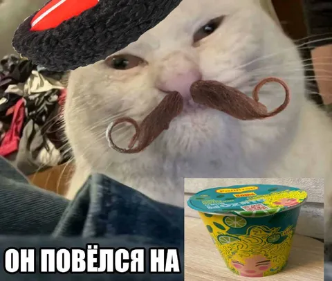 Он повёлся на сметану