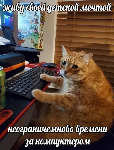 Кот за компьютером в детстве