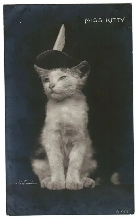 Miss Kitty with a Bunny Ears Hat