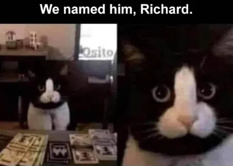 We Named Him Richard