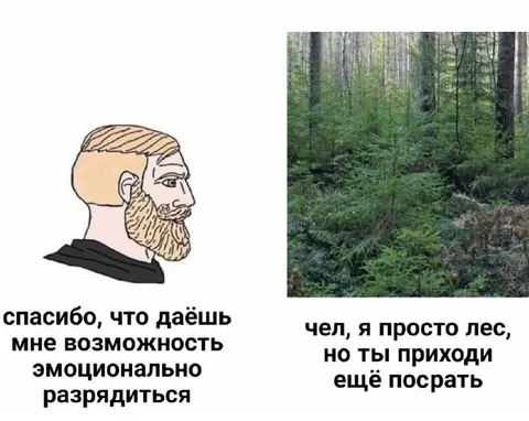 Лес для эмоциональной разрядки