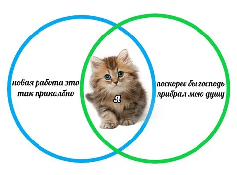 Новая работа и желание исчезнуть