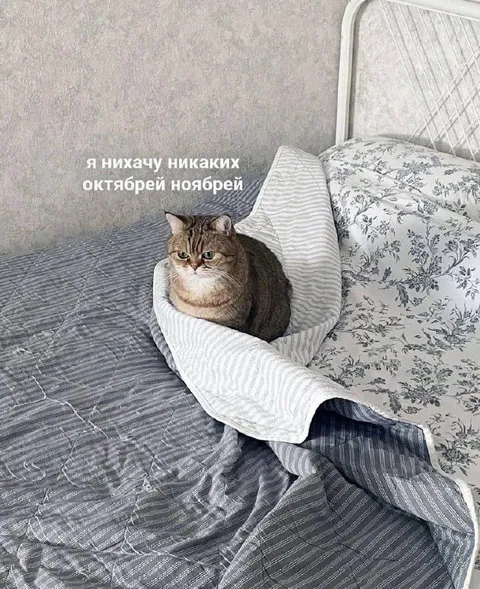 Я нихачу никаких октябрей ноябрей