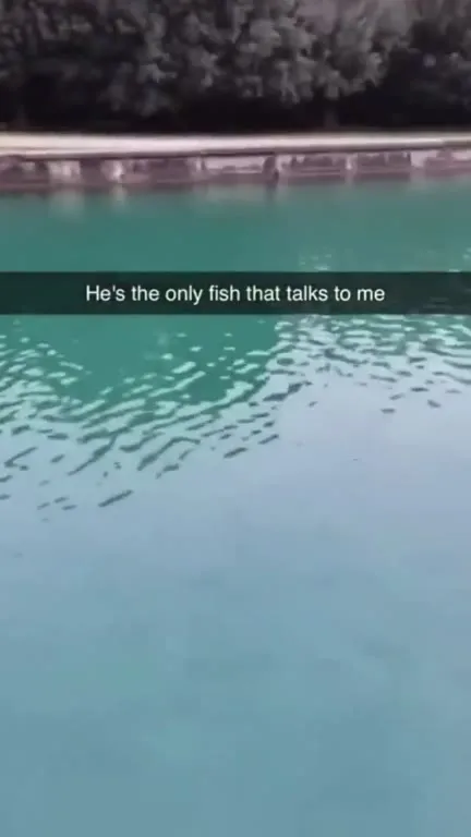 The Only Fish That Talks
