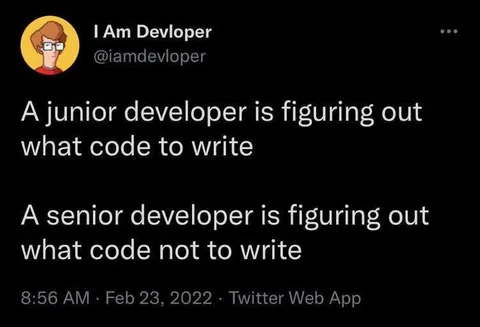 Junior Versus Senior Developer