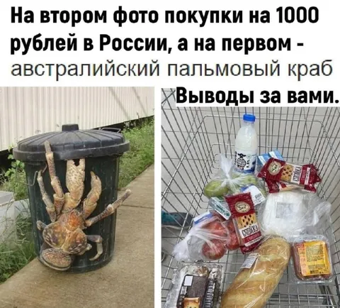 Покупки на тысячу рублей