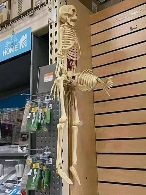 Skeleton Holding a Fish Skeleton