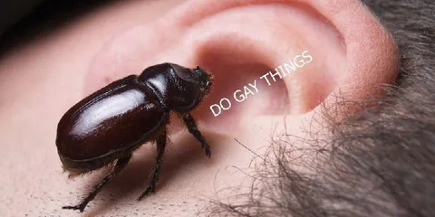 Beetle Whispering Gay Things