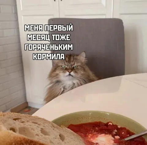 Кот вспоминает первое кормление