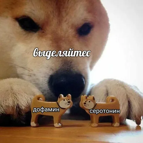 Выделяйтесь среди дофамина и серотонина