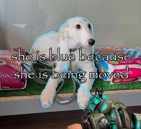 She Is Blue Because She Is Being Moved