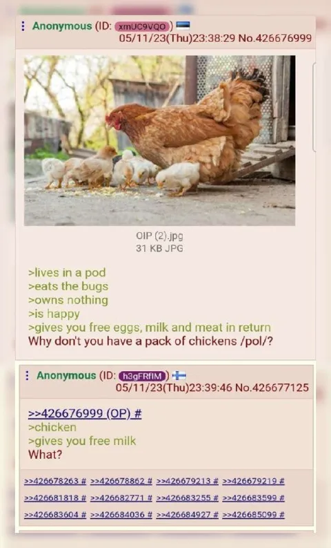 Why Don’t You Have Chickens?