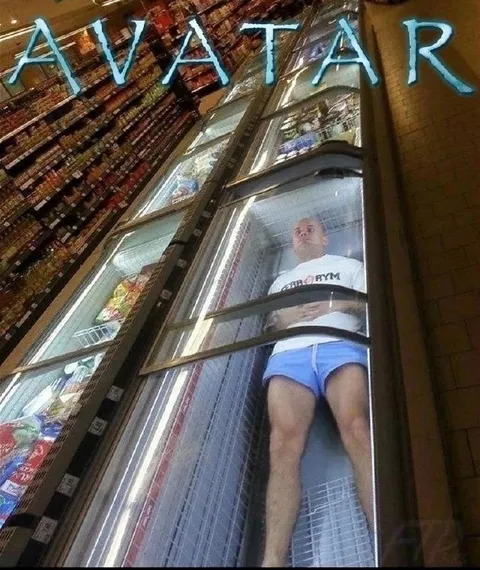 Avatar in the Freezer