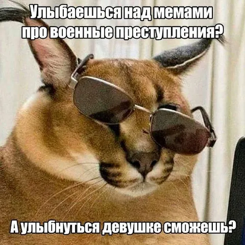 Улыбаешься над мемами про преступления