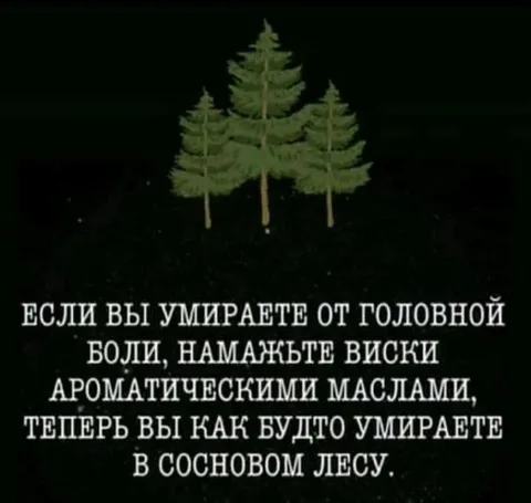 Умираешь в сосновом лесу