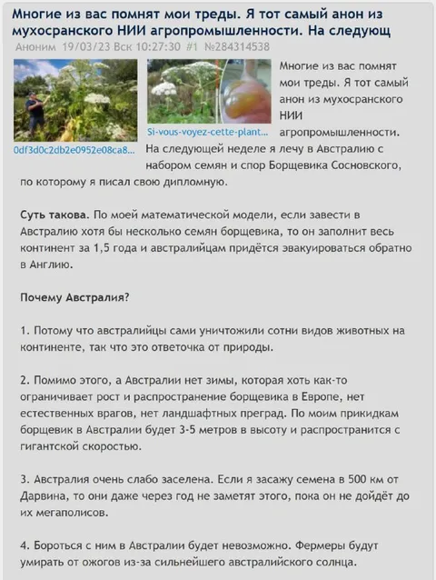 Борщевик в Австралии