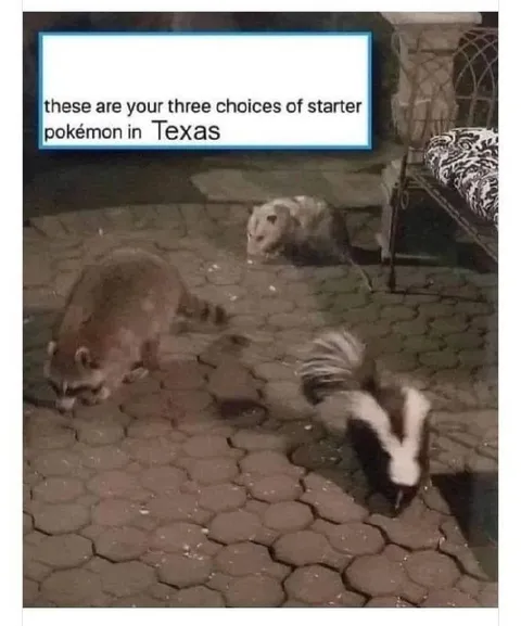 Texas Starter Pokémon Choices