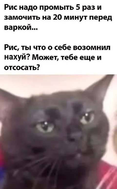 Рис возомнил о себе