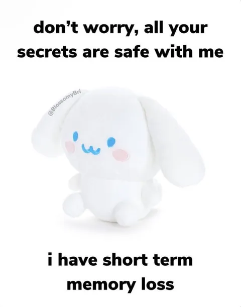 Short Term Memory Secret Keeper