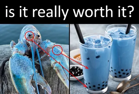 Is It Really Worth It?