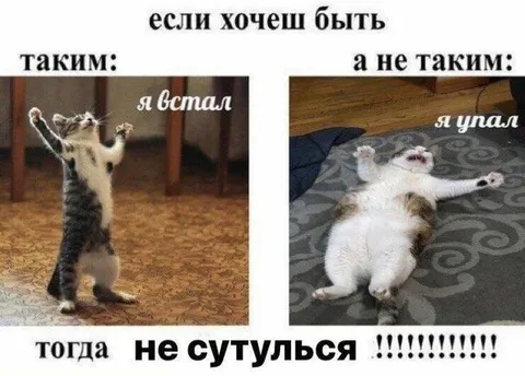 Не сутулься, когда встаёшь