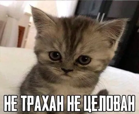 Не трахал, не целовал