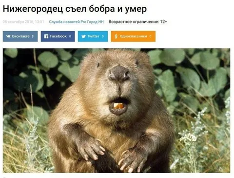 Нижегородец съел бобра и умер