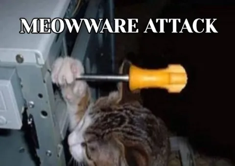 Meowware Attack