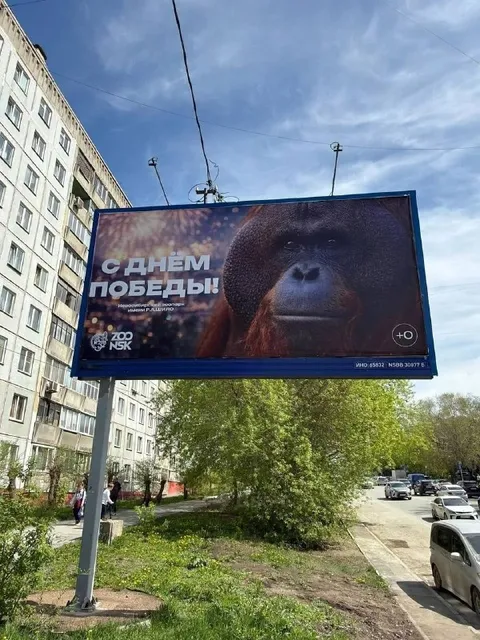 Горилла поздравляет с Днём Победы