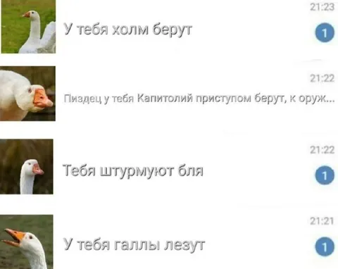 Гуси штурмуют Капитолий