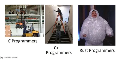 C, C++ and Rust Programmers