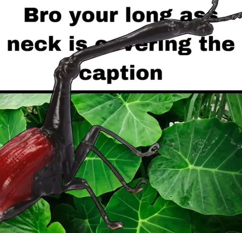 Long Neck Covering Caption