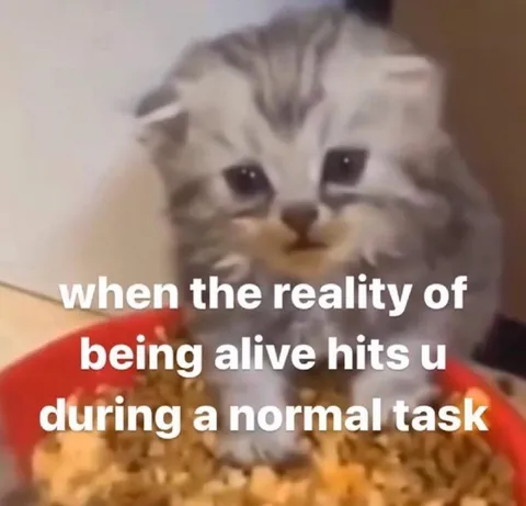 Reality Hits During a Normal Task