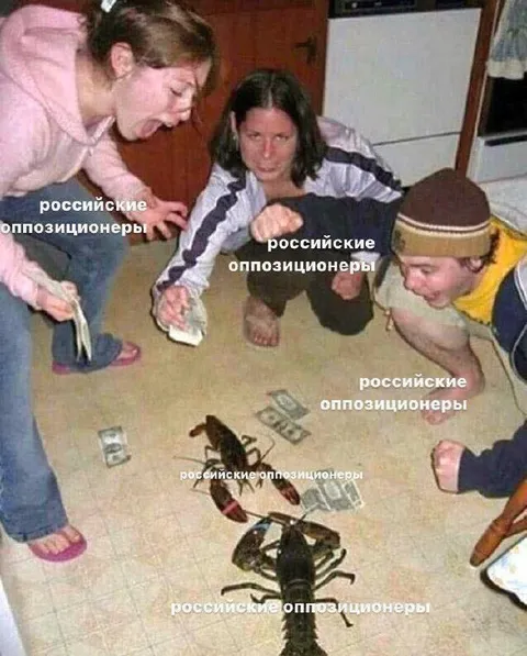 Российские оппозиционеры делят деньги
