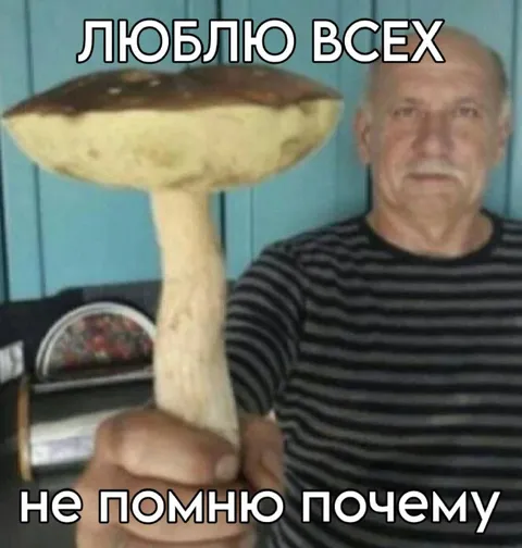 Люблю всех, не помню почему