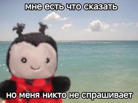 Мне есть что сказать