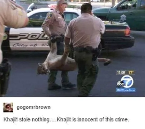 Khajit Is Innocent