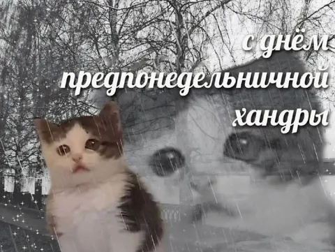 День предпонедельничной хандры