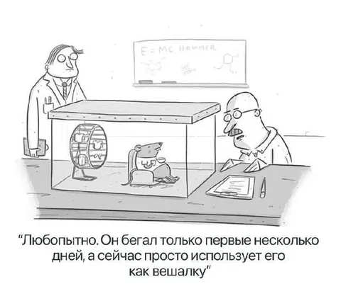 Мышь использует беговое колесо как вешалку