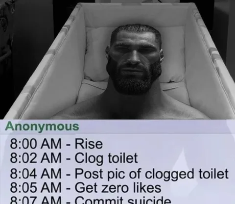 Anonymous Clogged Toilet Schedule