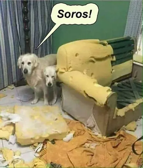 Soros Did It Again