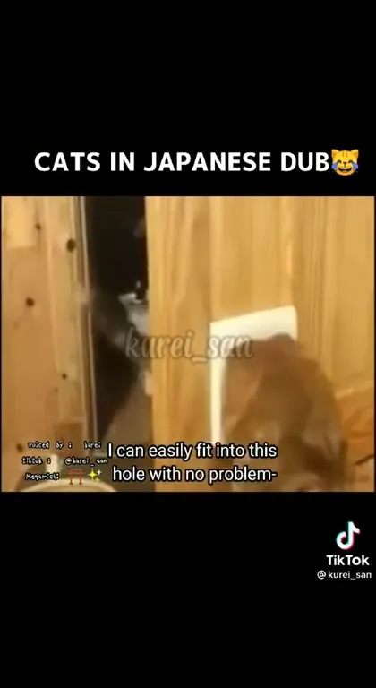 Cats in Japanese Dub