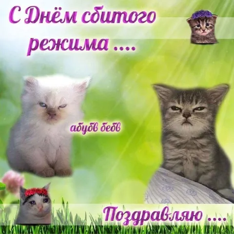 Сбитый режим поздравление