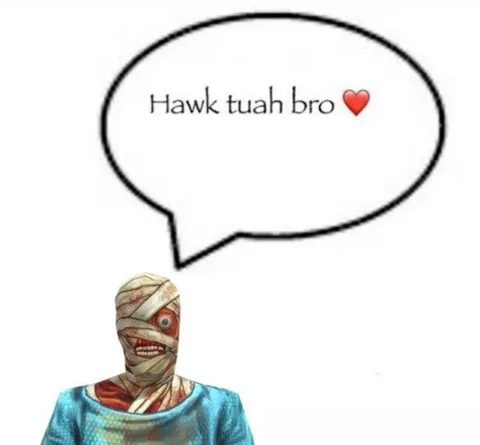 Hawk Tuah Bro