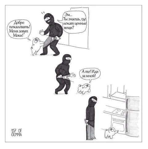 Собака ведёт грабителя к ценностям