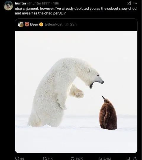 Polar Bear Chad Penguin Reply