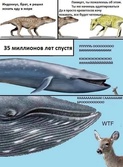 Индохус ищет еду в море