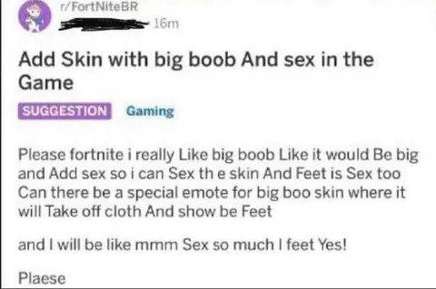 Fortnite Big Boob Skin Suggestion